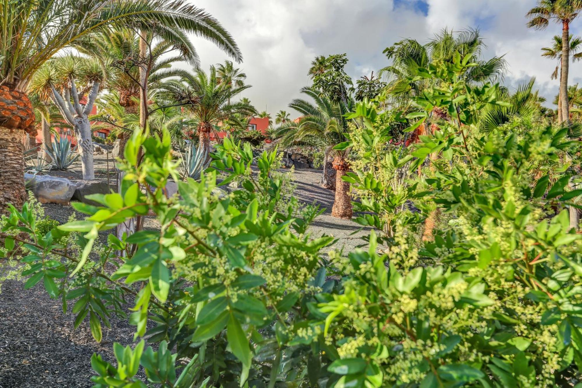 Oasis Royal Apartment Corralejo Luaran gambar
